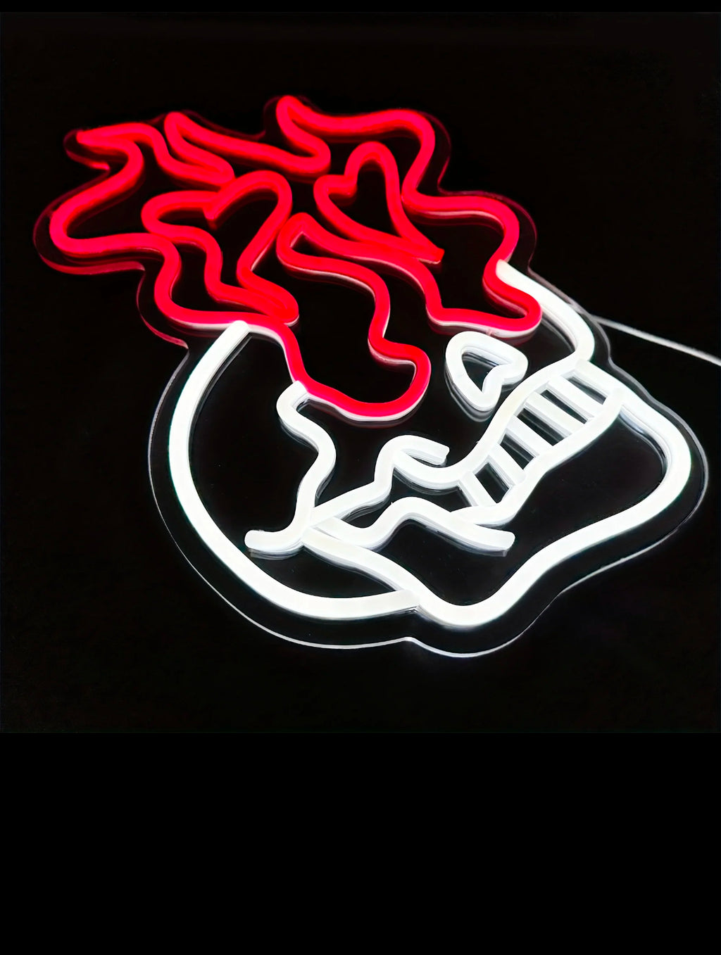 Skull Fire 6D
