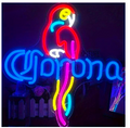 Corona Parrot 2D