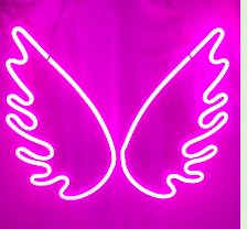 Angel Wings (Pink) 3E