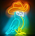 Parrot 2F