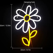 Daisy 1DD