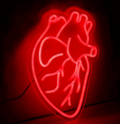 Real Heart 1C
