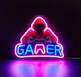 GAMER (Gaming)
