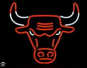 Chicago Bulls 2D