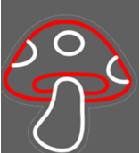 Mushroom 4D