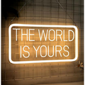 The World Is Yours 1DD